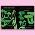 Hello Fungi: A Little Guide to Nature by Nina Chakrabarti