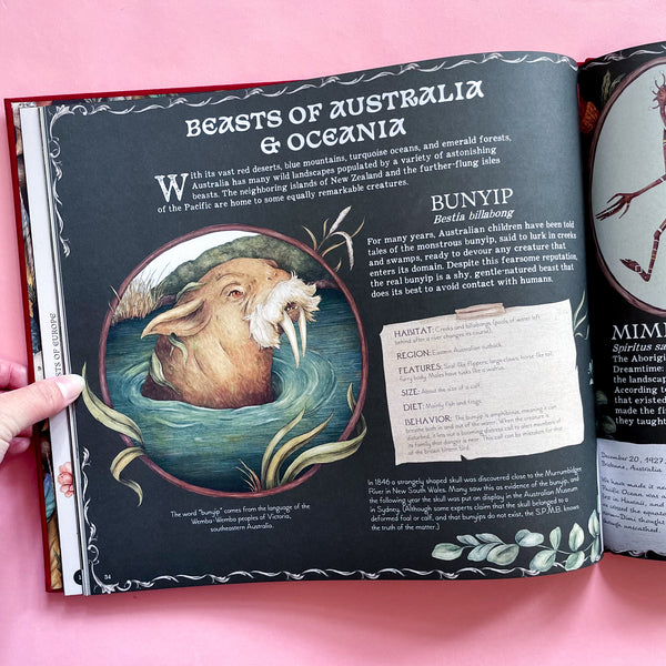 A Natural History of Magical Beasts by Emily Hawkins and Jessica