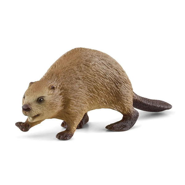 Schleich Wild Life Beaver Toy Figurine Collage Collage