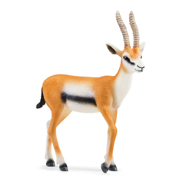 Schleich Wild Life Thomson Gazelle Toy Figurine