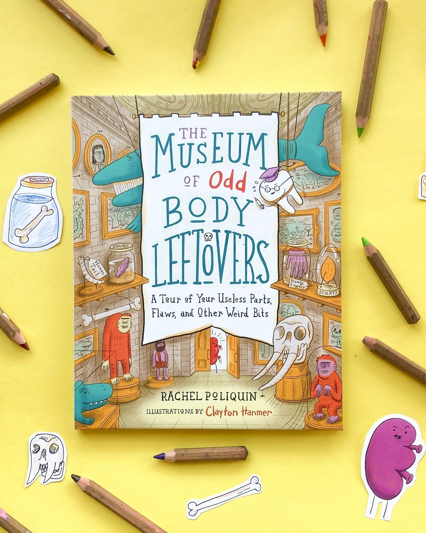 The Museum of Odd Body Leftovers BOOK LAUNCH!