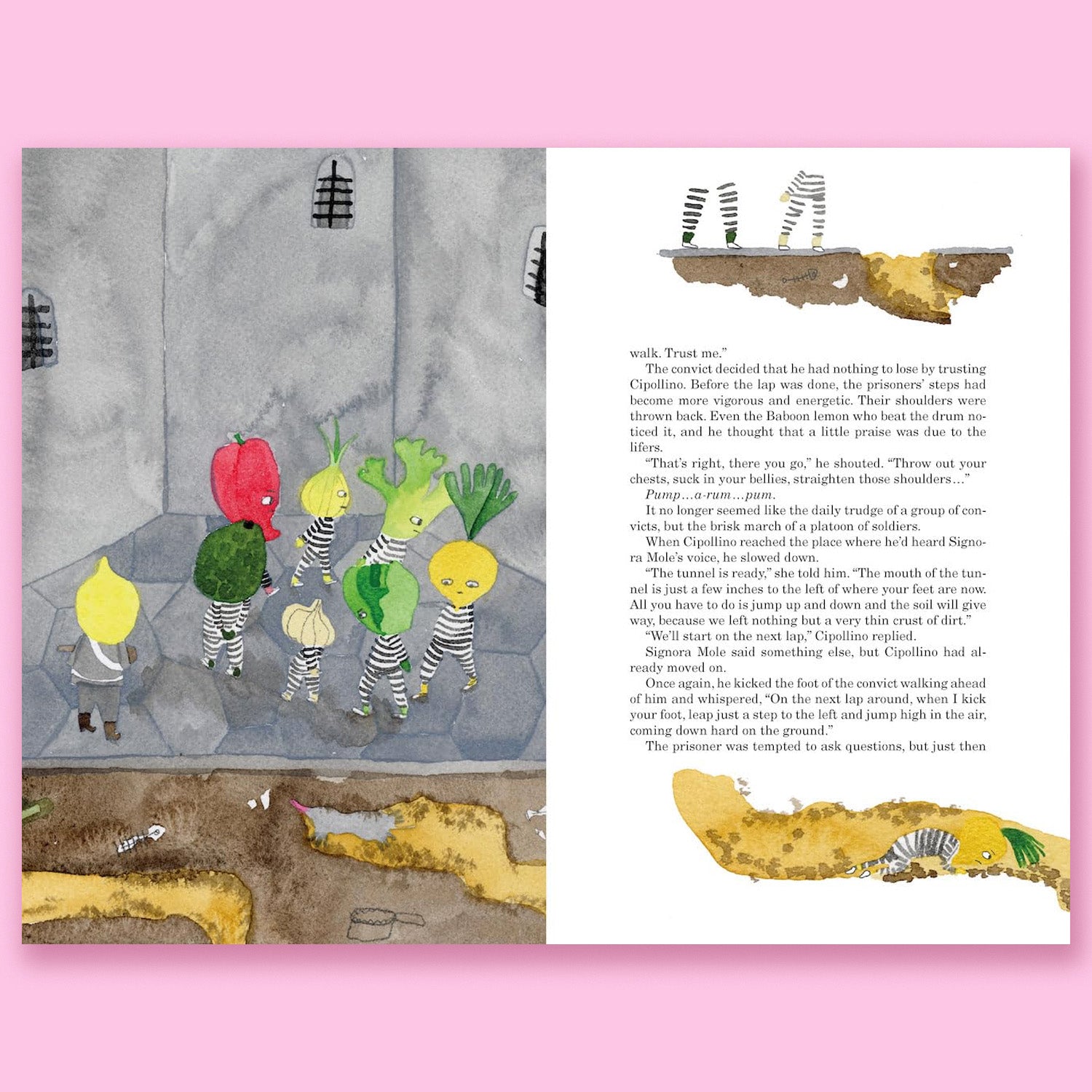 The Adventures of Cipollino by Gianni Rodari and Dasha Tolstikova