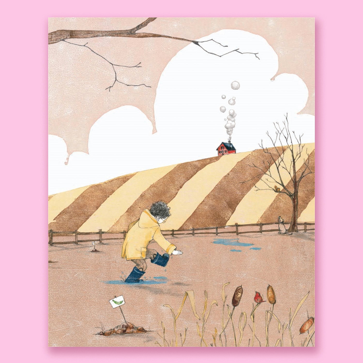 And Then It's Spring by Julie Fogliano and Illustrated by Erin E. Stead