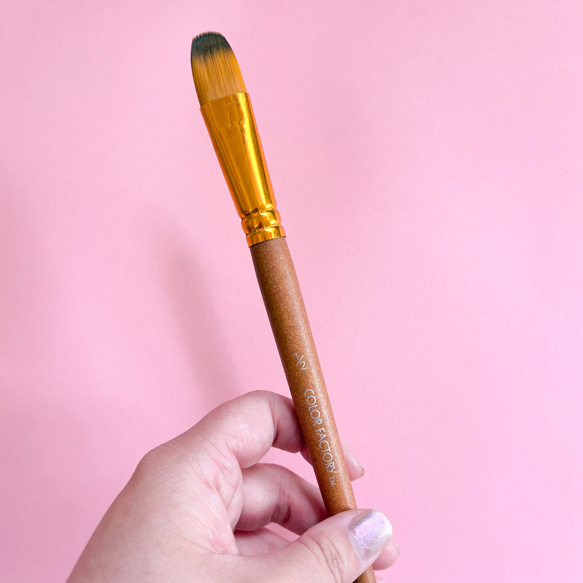 Artist Paint Brushes – Various Sizes