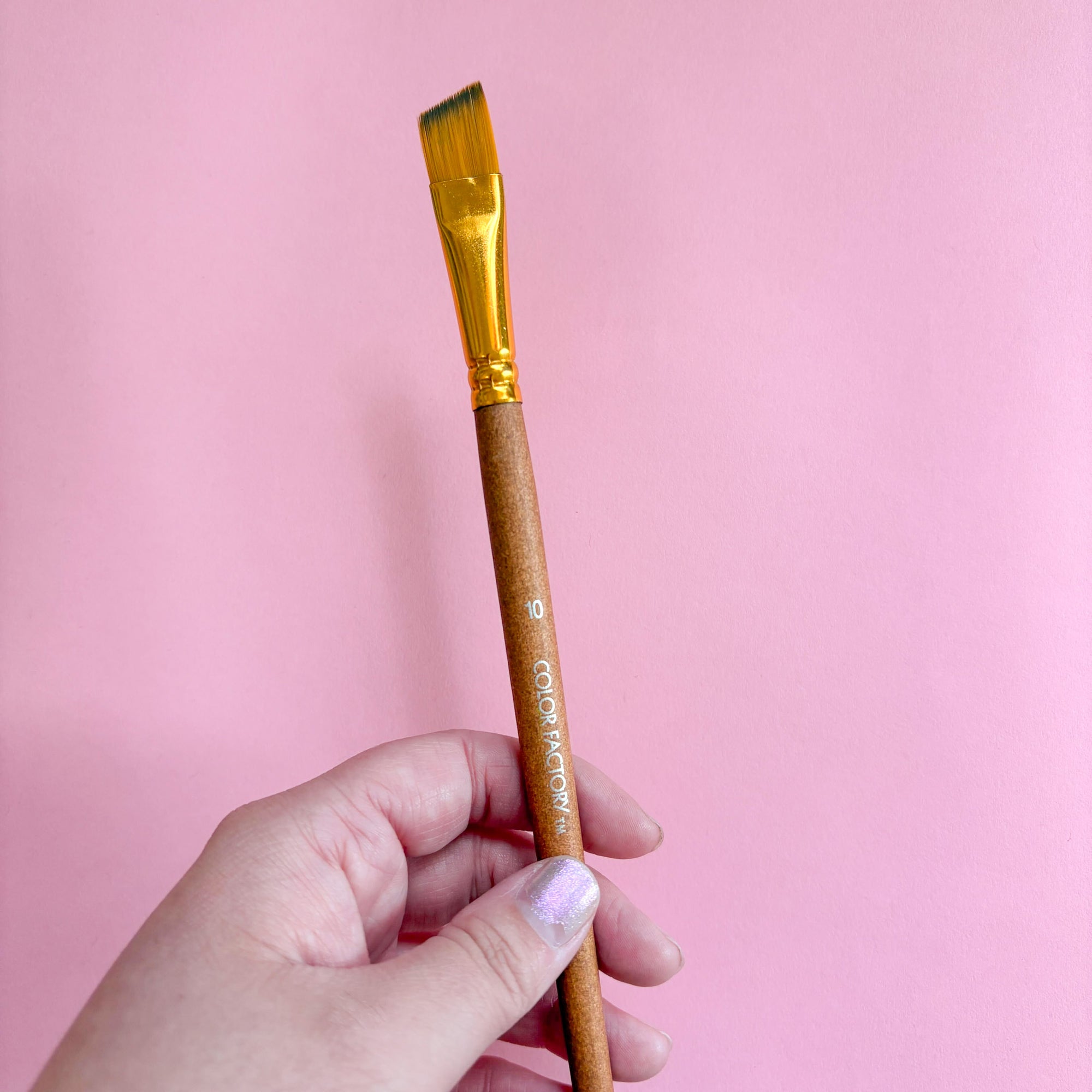 Artist Paint Brushes – Various Sizes