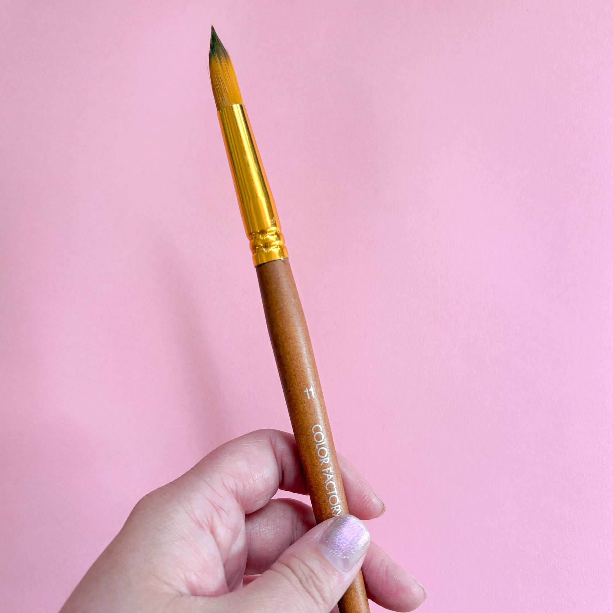 Artist Paint Brushes – Various Sizes