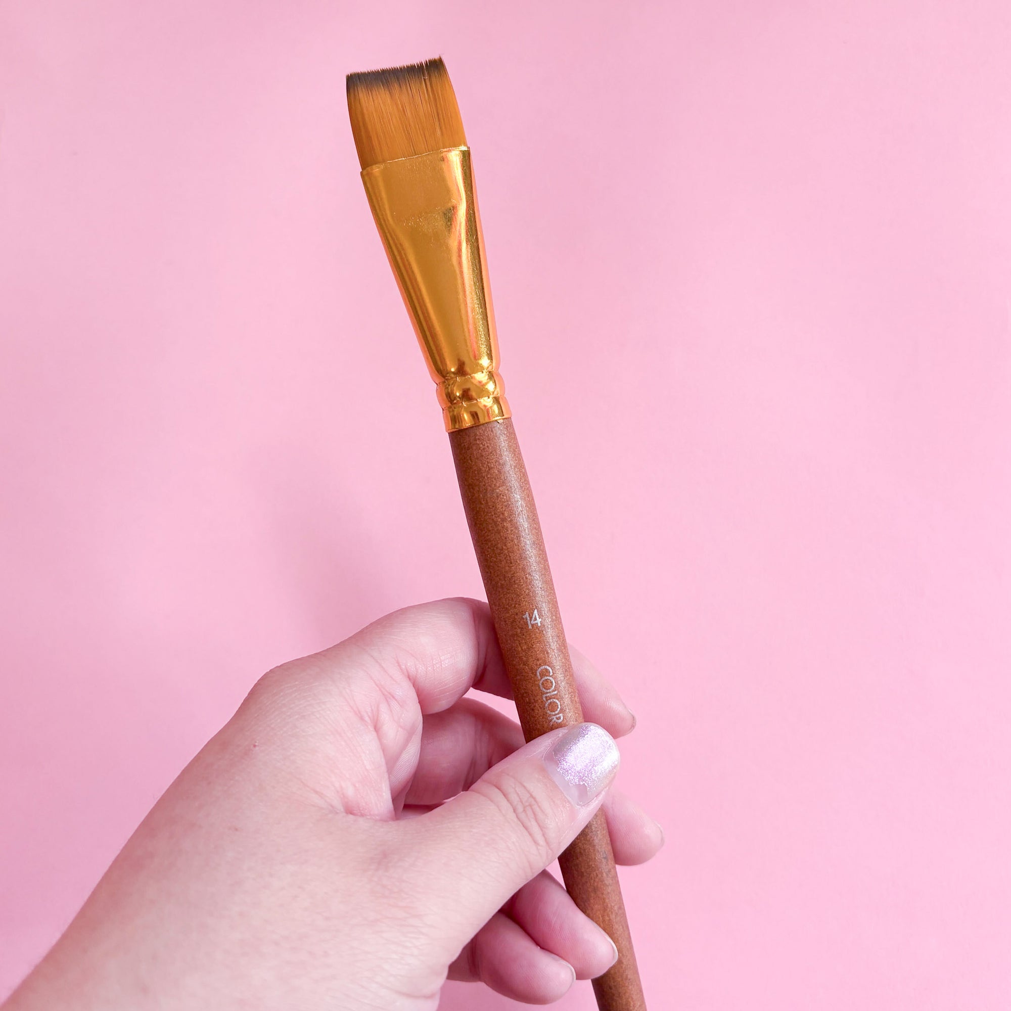 Artist Paint Brushes – Various Sizes