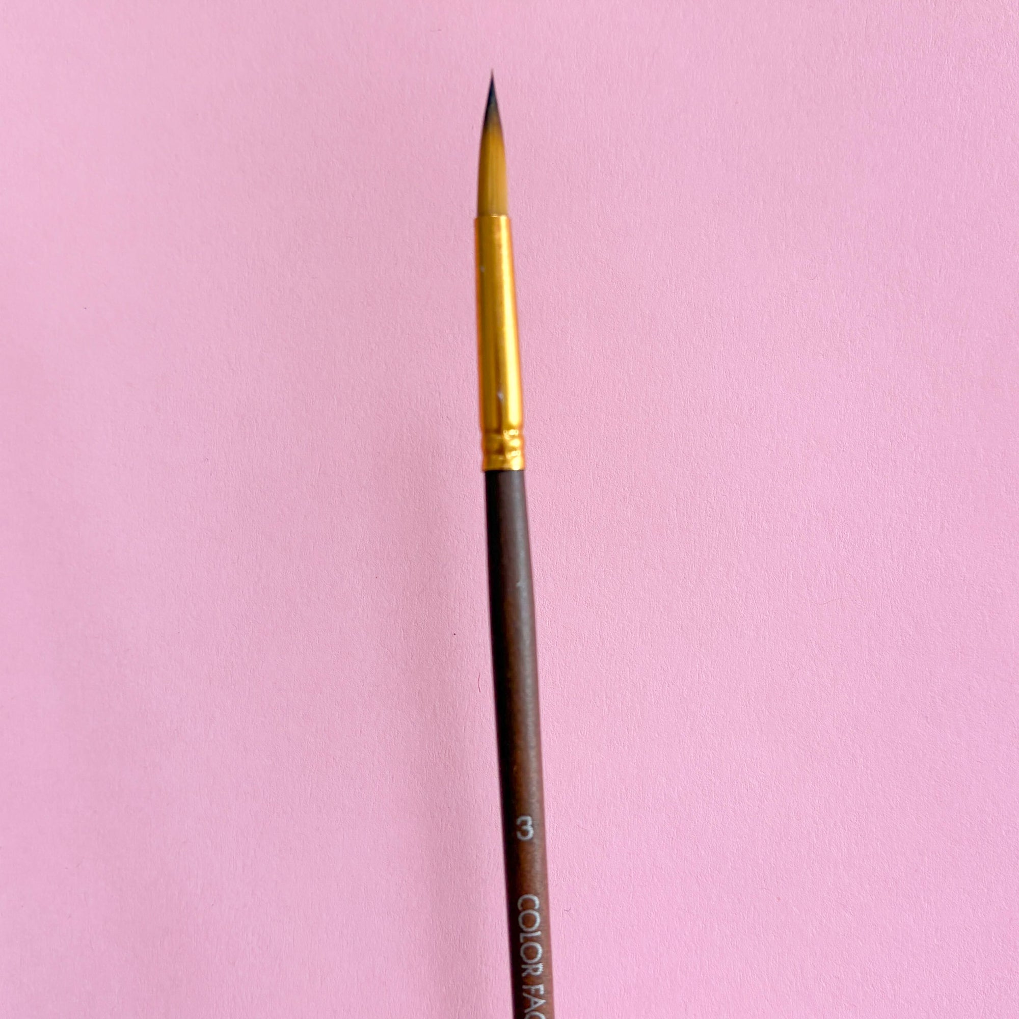 Artist Paint Brushes – Various Sizes