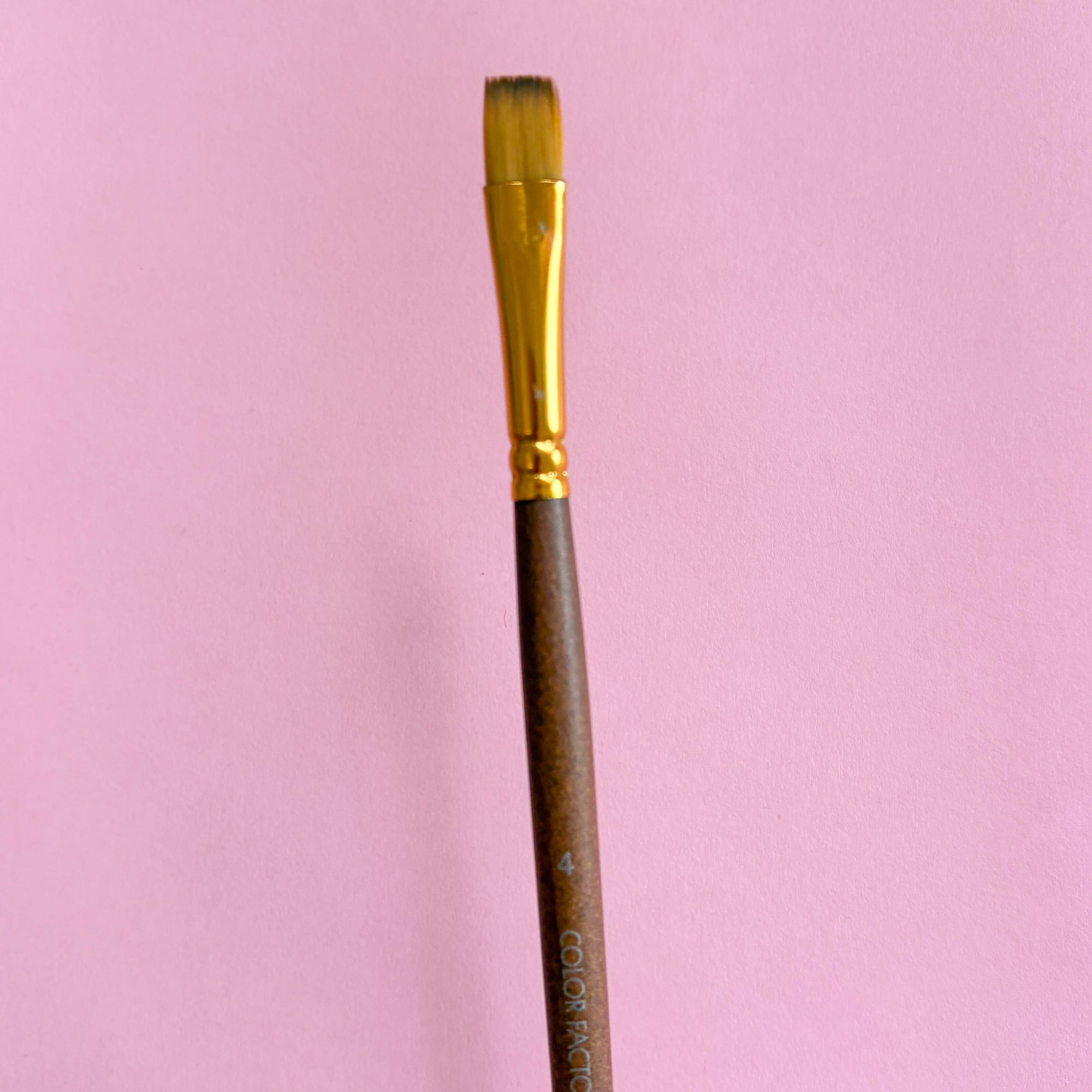 Artist Paint Brushes – Various Sizes