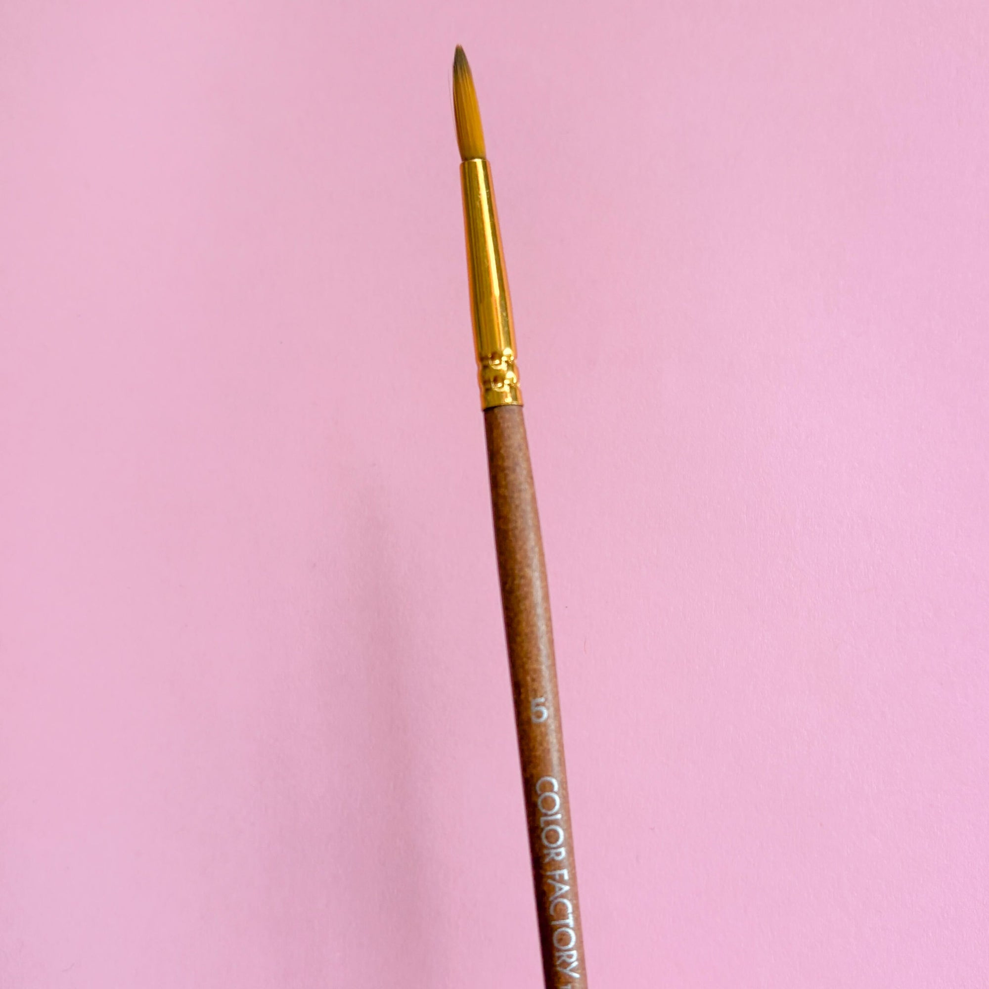 Artist Paint Brushes – Various Sizes