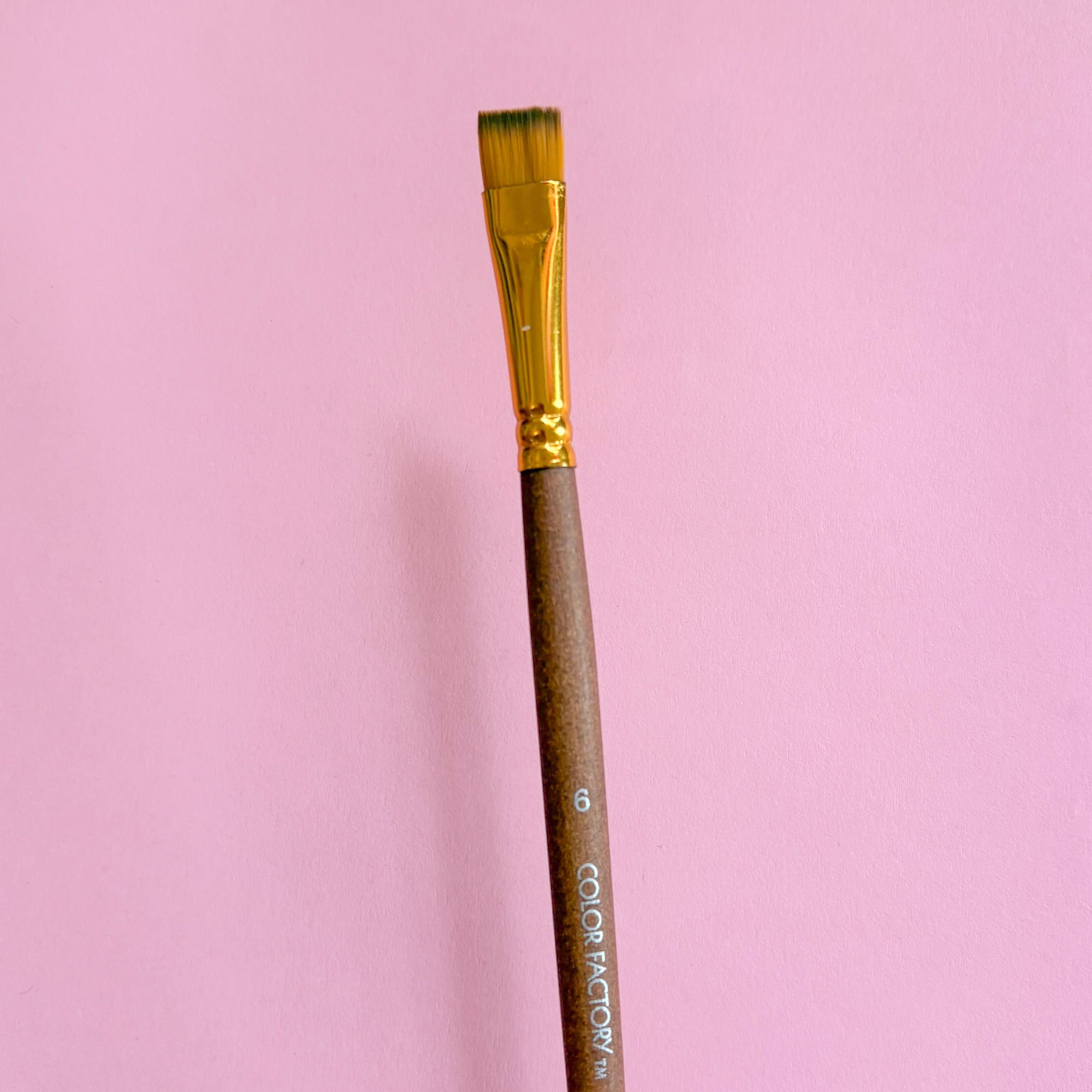 Artist Paint Brushes – Various Sizes