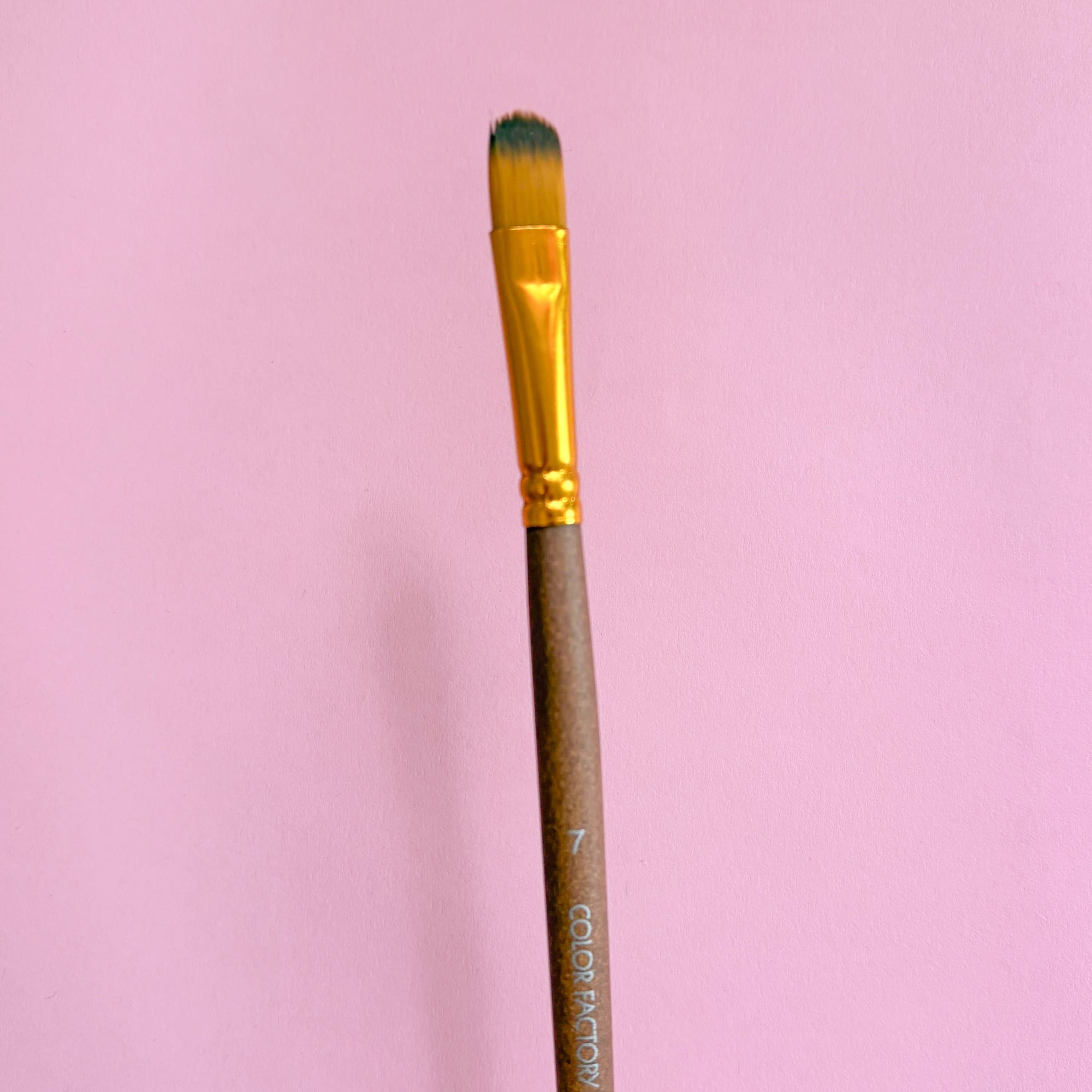 Artist Paint Brushes – Various Sizes