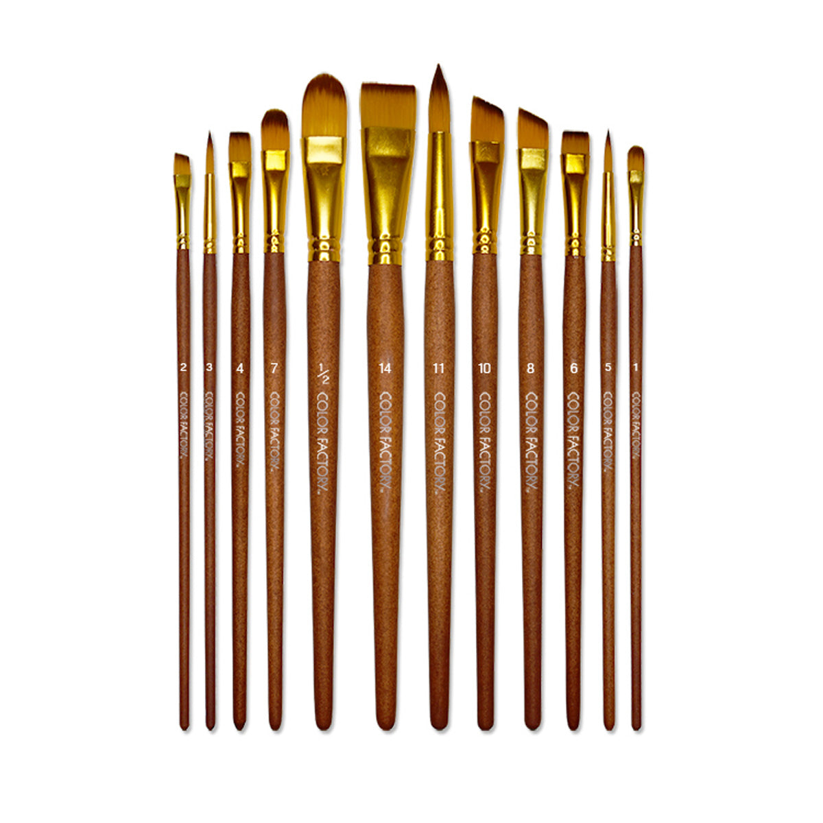 Artist Paint Brushes – Various Sizes