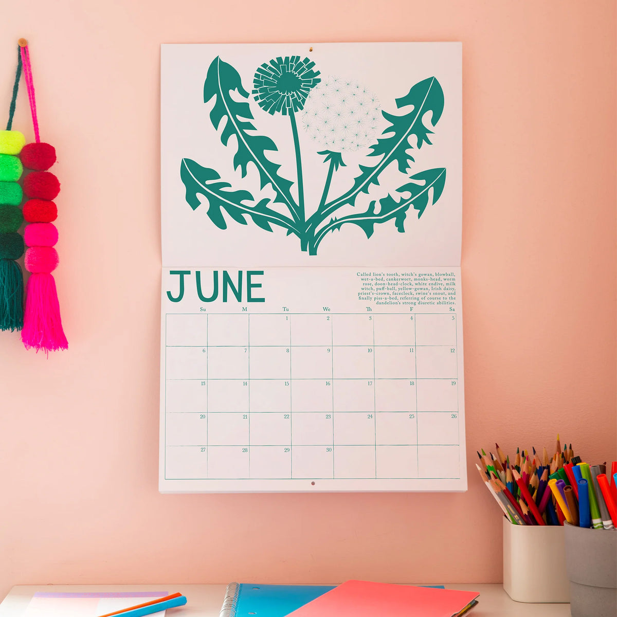 Banquet Workshop 2027 Calendar - Medicinal Plants