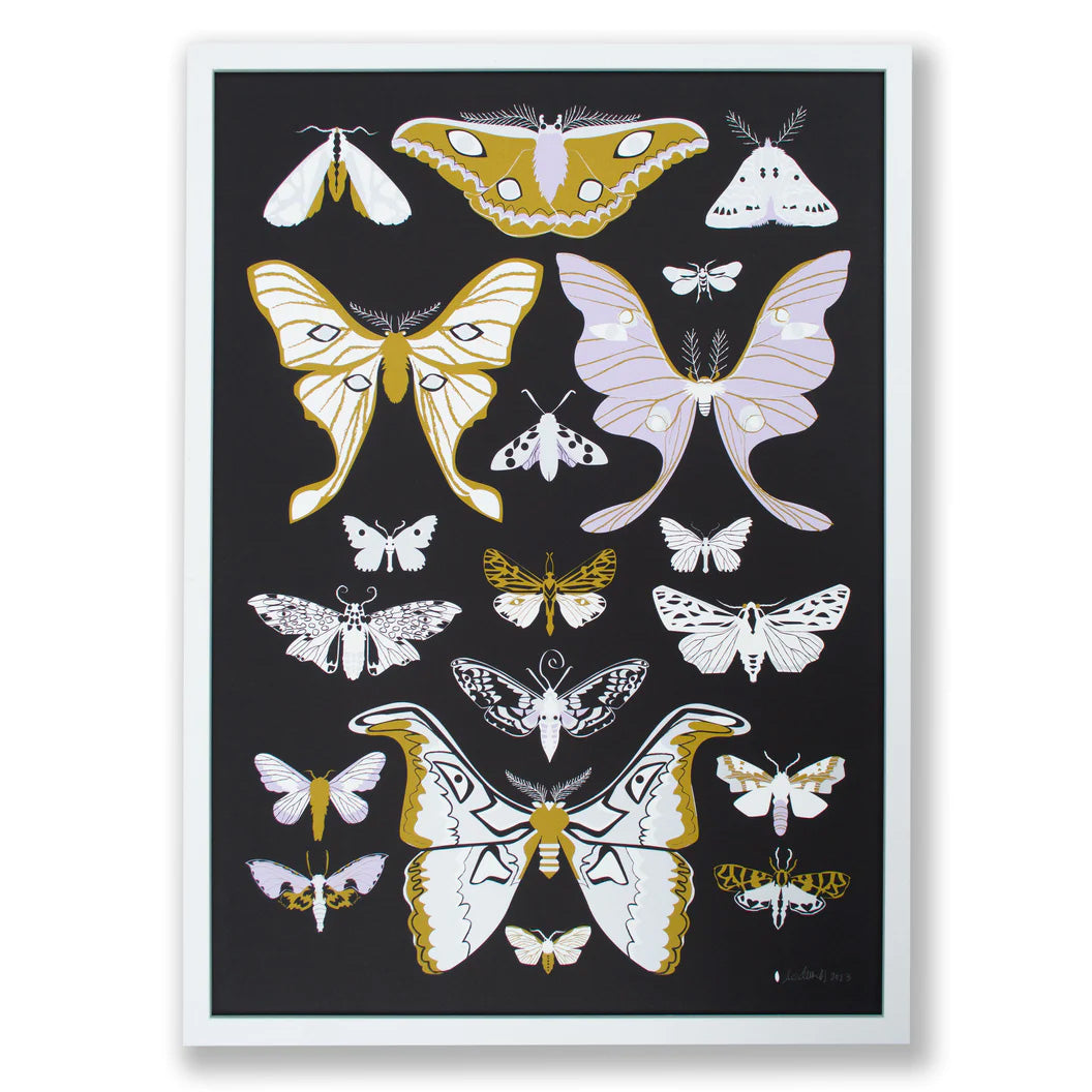 Moth Art Print with a black background with purple and mustard colour moths from Banquet Workshop