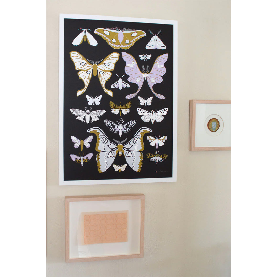 Moth Art Print with a black background with purple and mustard colour moths from Banquet Workshop