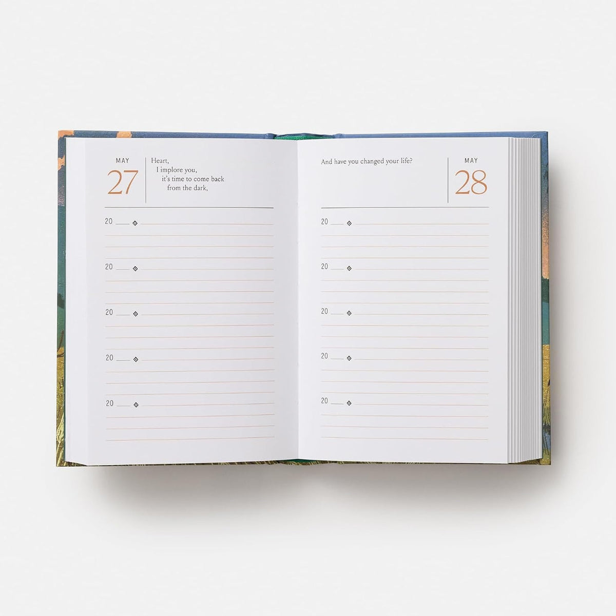 Begin with Wonder: 5-Year Journal with Daily Quotes by Mary Oliver