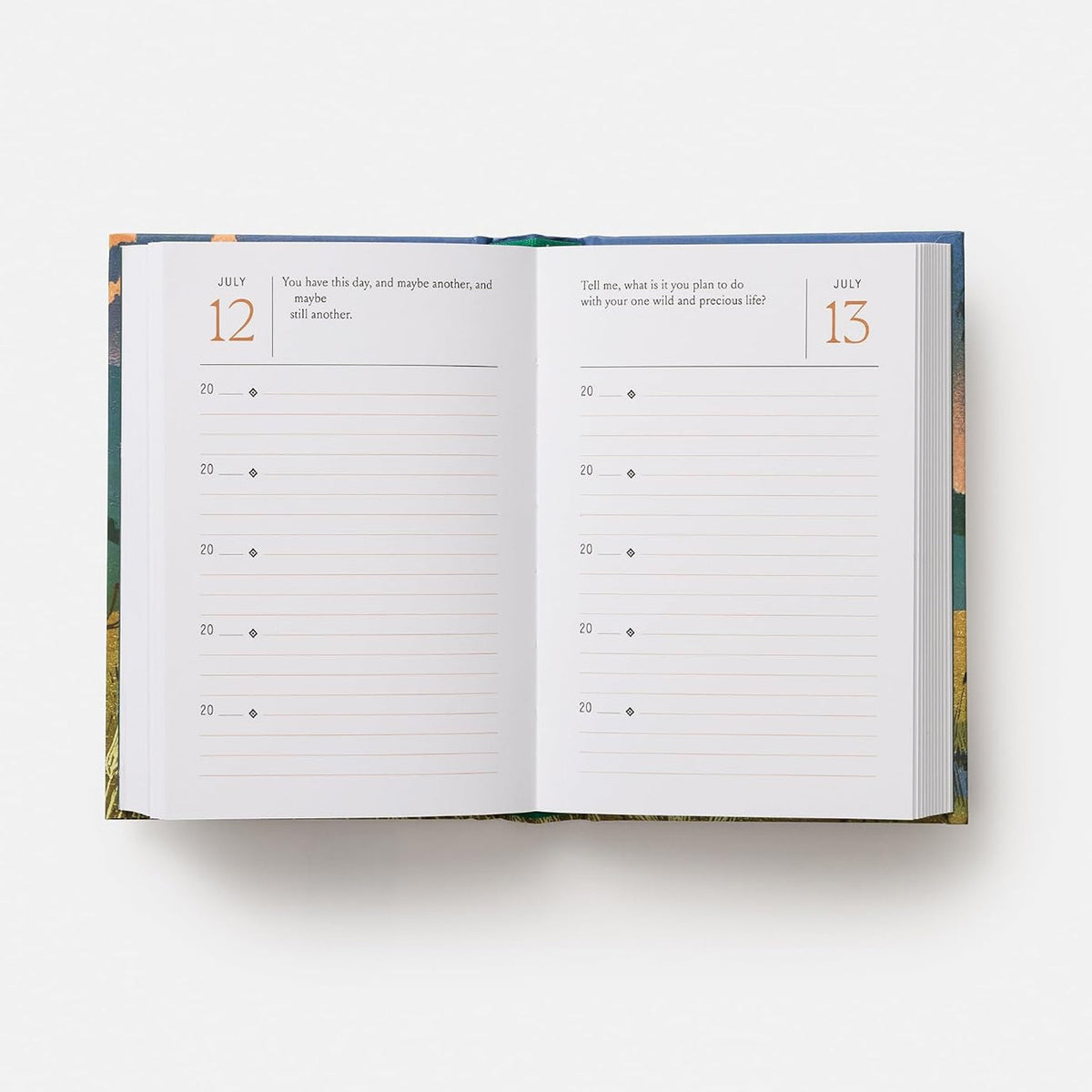 Begin with Wonder: 5-Year Journal with Daily Quotes by Mary Oliver