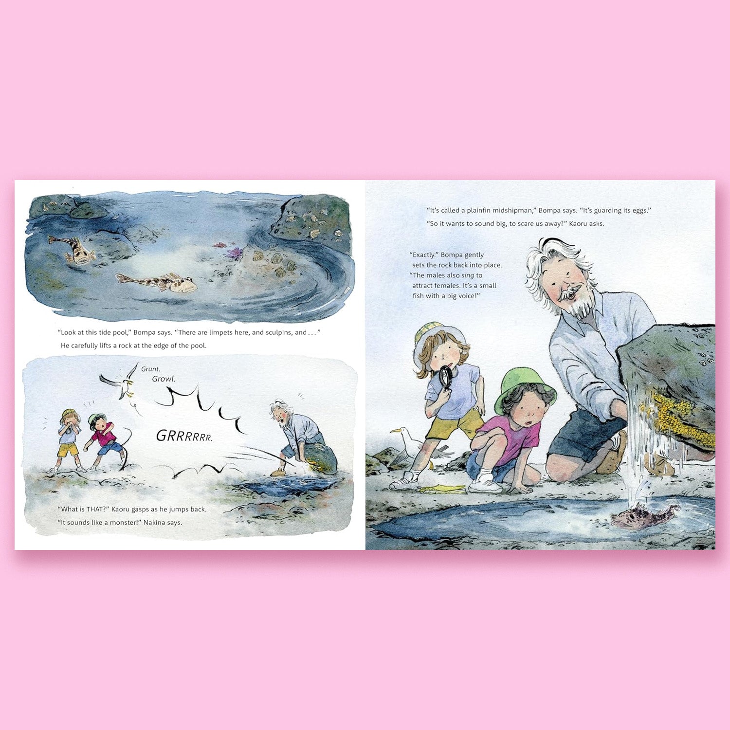 Bompa's Intertidal Adventure by David Suzuki and Sarika Cullis-Suzuki with Tanya Lloyd Kyi and Qin Leng