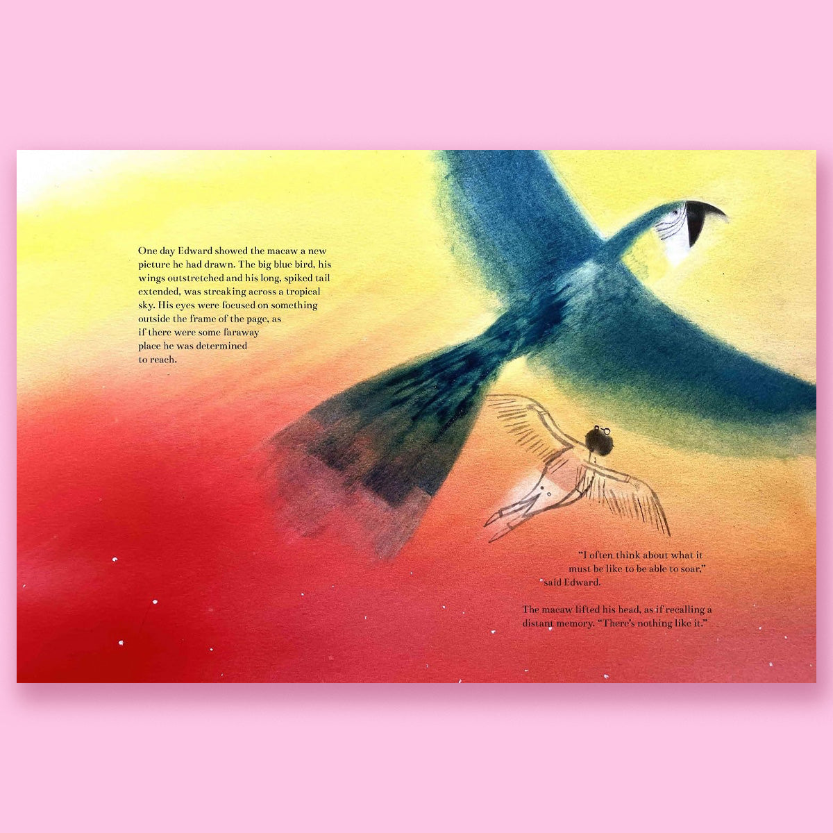 The Boy Who Became a Parrot: A Foolish Biography of Edward Lear, Who Invented Nonsense by Wolverton Hill and Laura Carlin