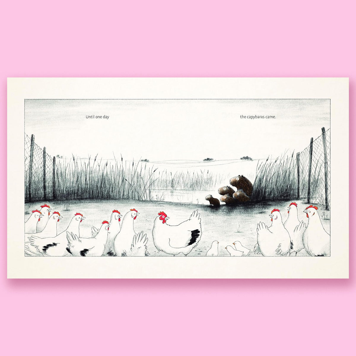 The Capybaras by Alfredo Soderguit