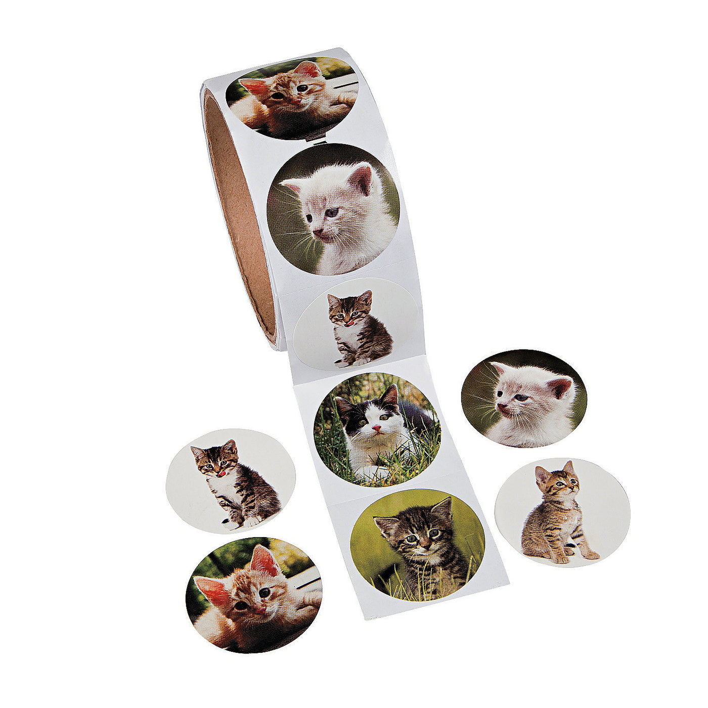 Cat Photo Stickers