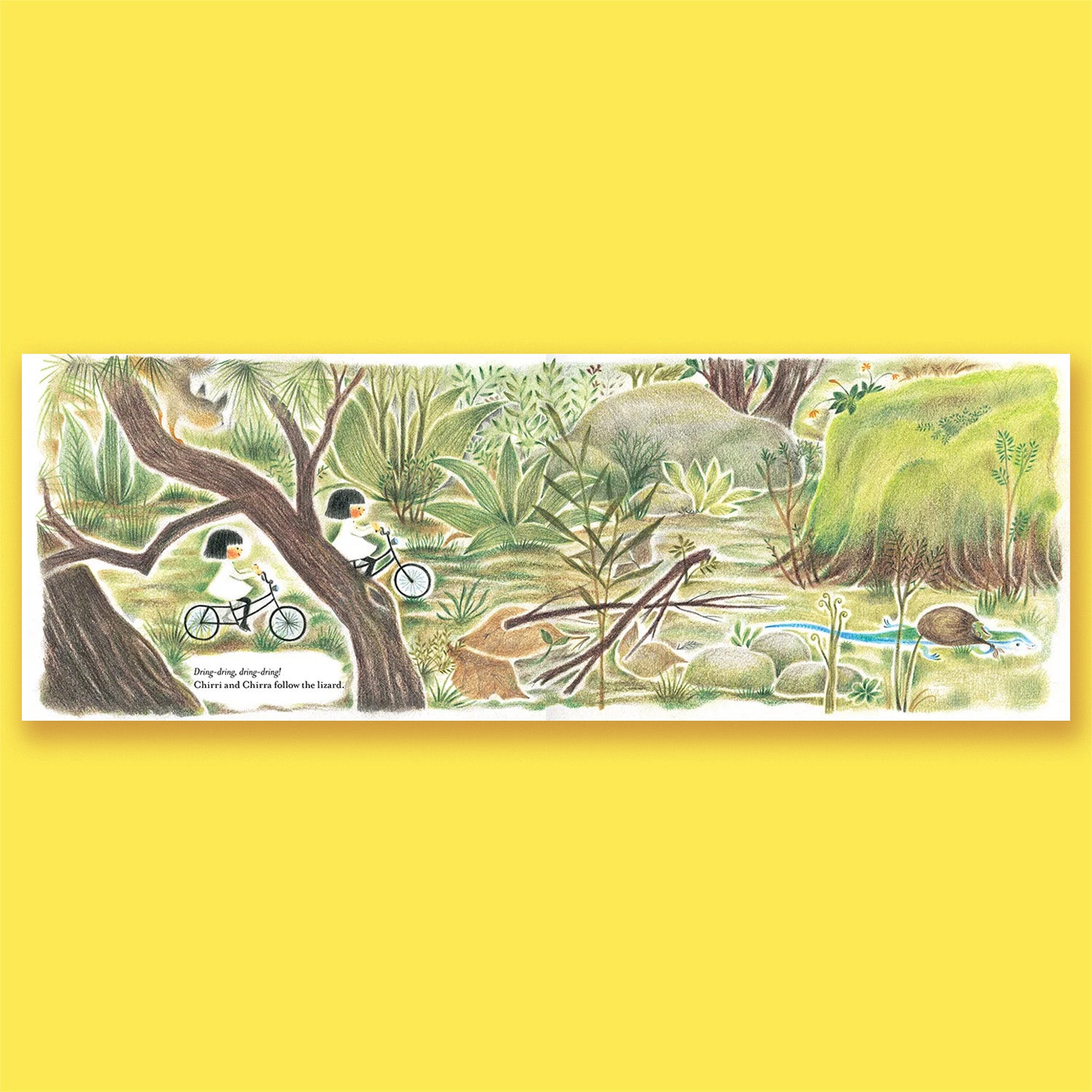 Chirri &amp; Chirra In the Tall Grass by Kaya Doi Translated by Yuki Kaneko