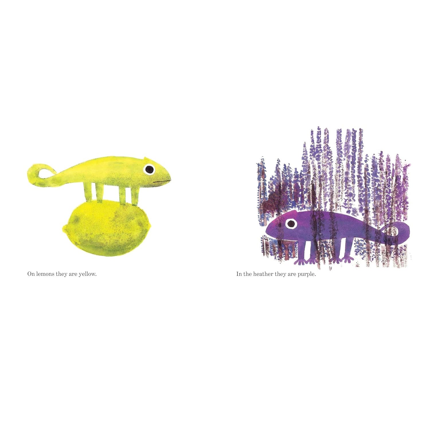 A Color of His Own with Color Wheel by Leo Lionni