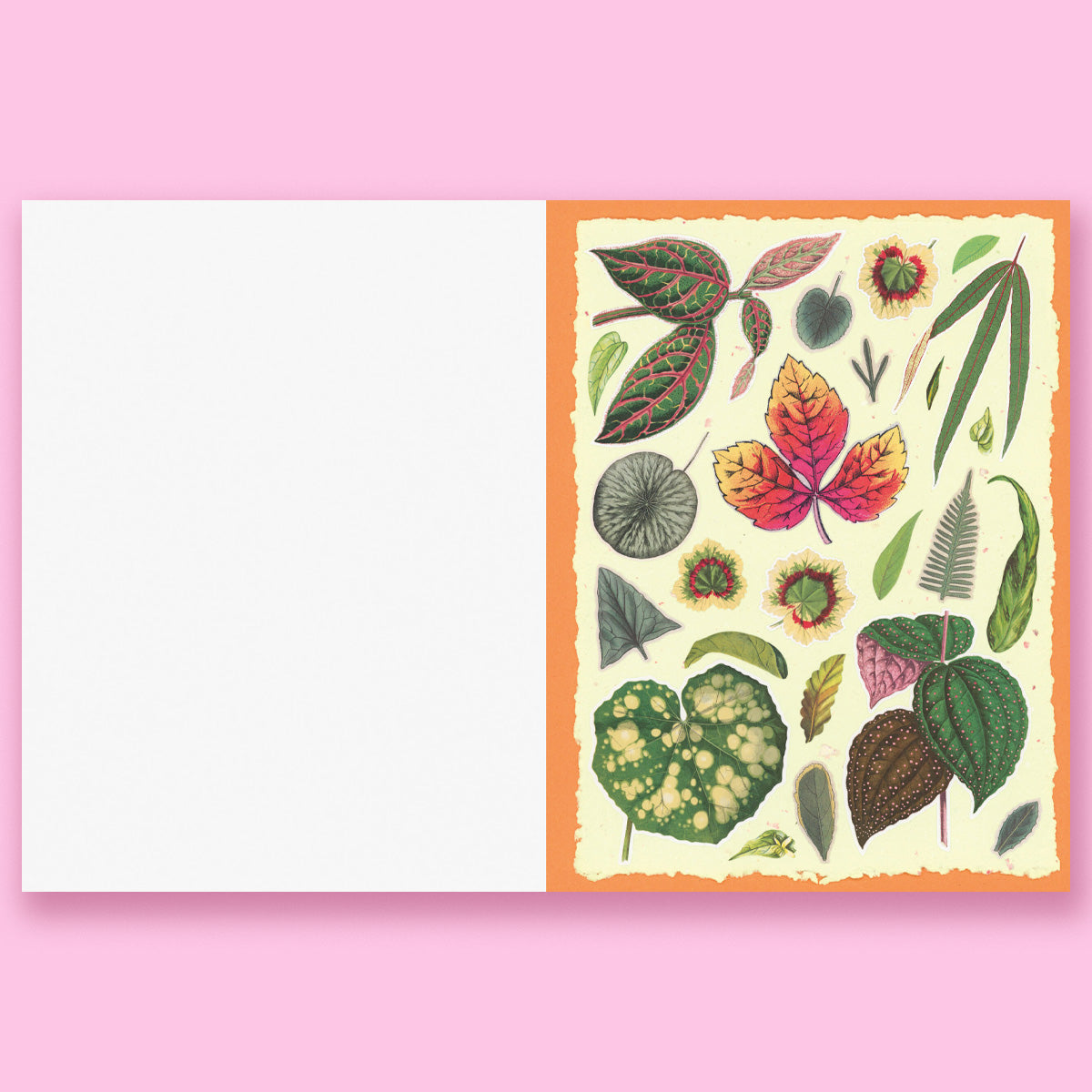 Cut-out Curiosities: Botanica: A Collage Book: A compelling compendium of botanical peculiarities and antique florals to cut and collage by Maximillian Malone