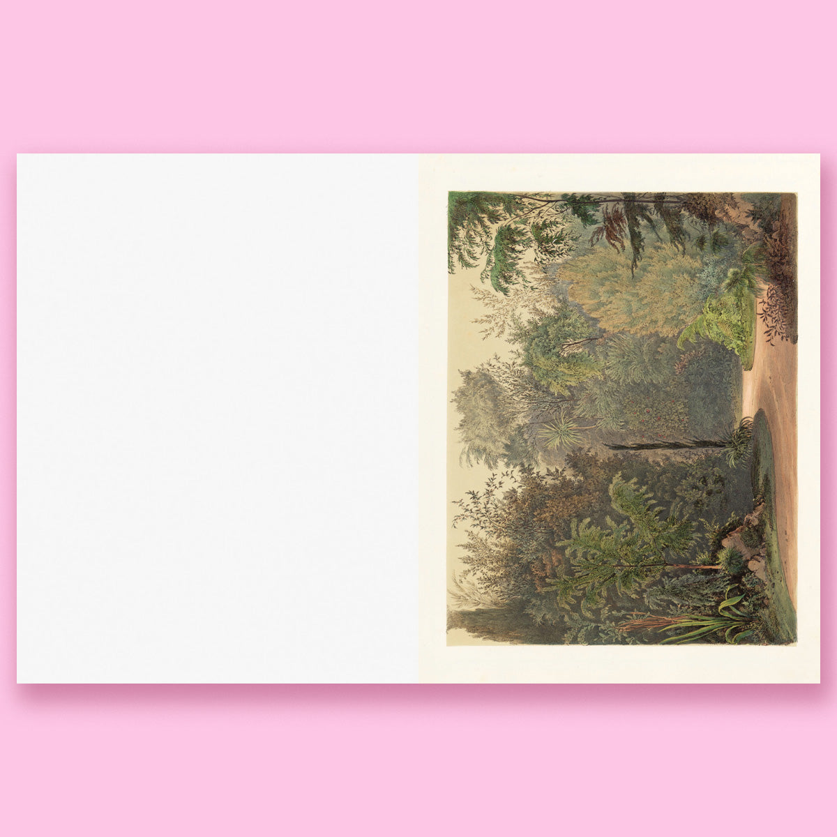 Cut-out Curiosities: Botanica: A Collage Book: A compelling compendium of botanical peculiarities and antique florals to cut and collage by Maximillian Malone