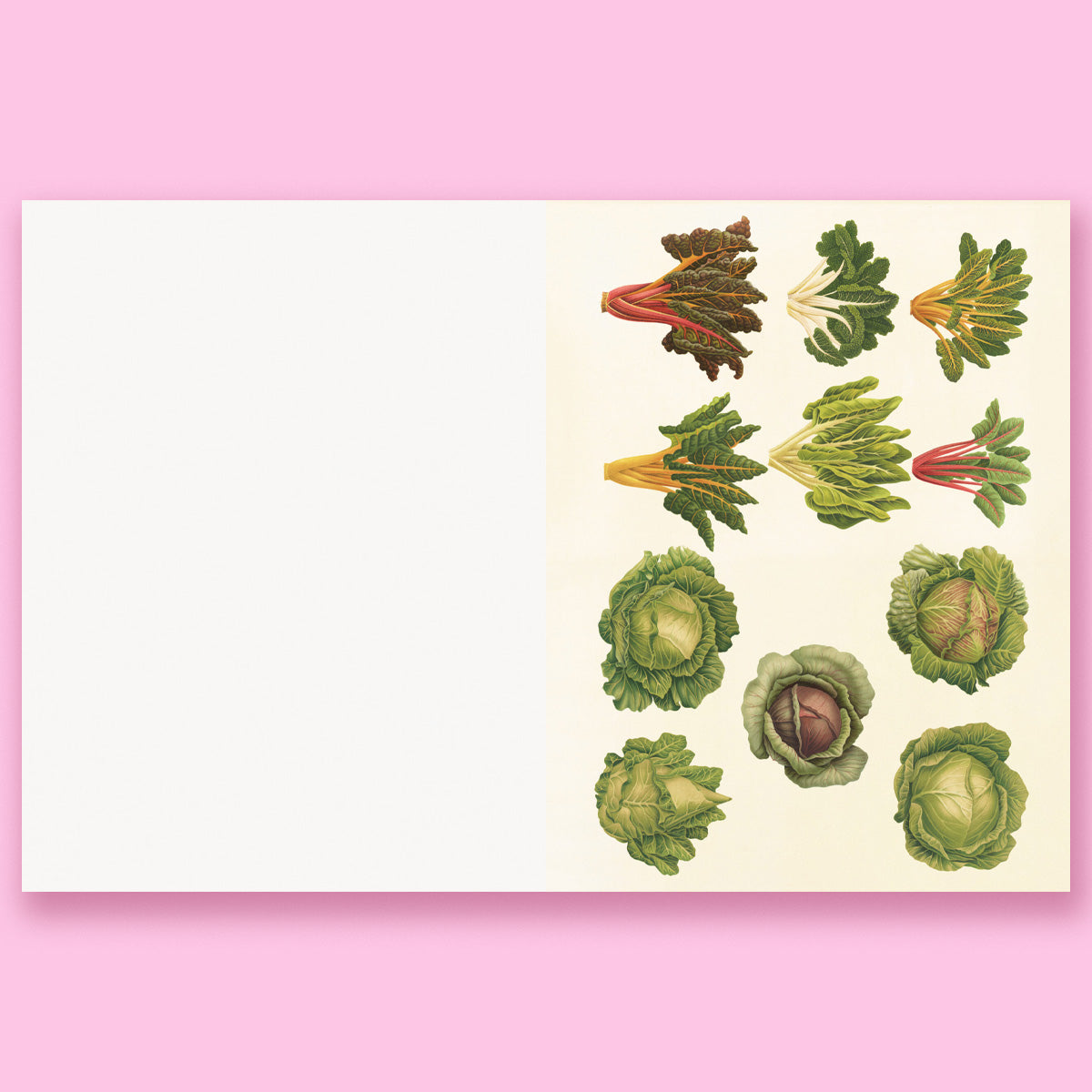 Cut-out Curiosities: Botanica: A Collage Book: A compelling compendium of botanical peculiarities and antique florals to cut and collage by Maximillian Malone