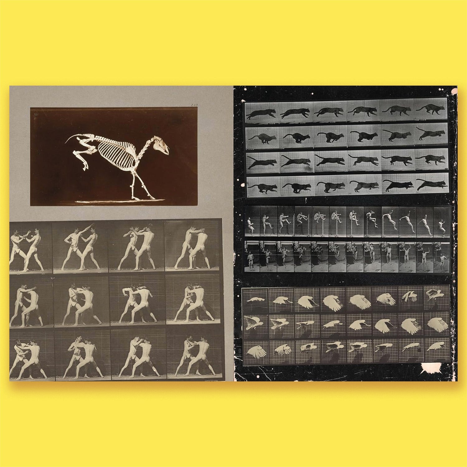 Cut-out Curiosities Space, Science &amp; Technology: A Collage Book: A compelling compendium of technological peculiarities and scientific imaginings to cut and collage by Maximillian Malone