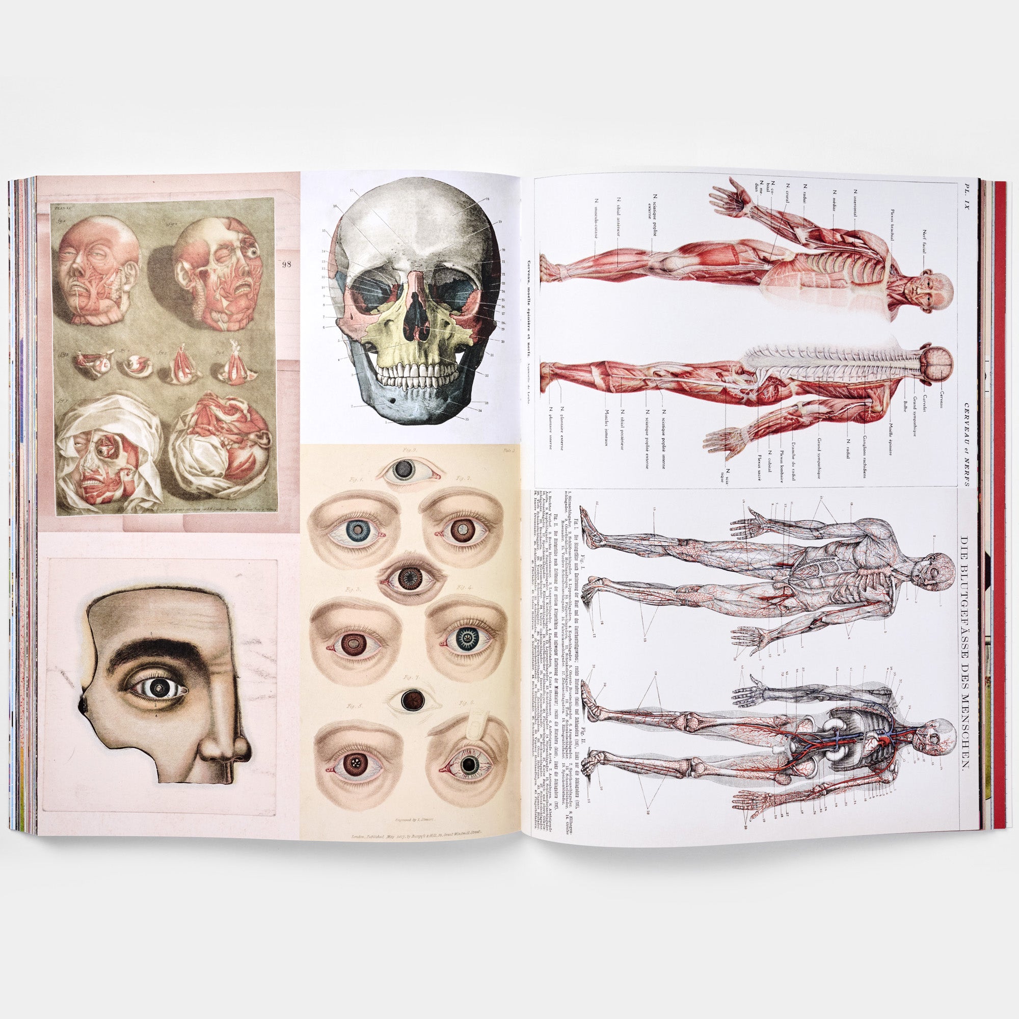 Cut-out Curiosities Space, Science &amp; Technology: A Collage Book: A compelling compendium of technological peculiarities and scientific imaginings to cut and collage by Maximillian Malone