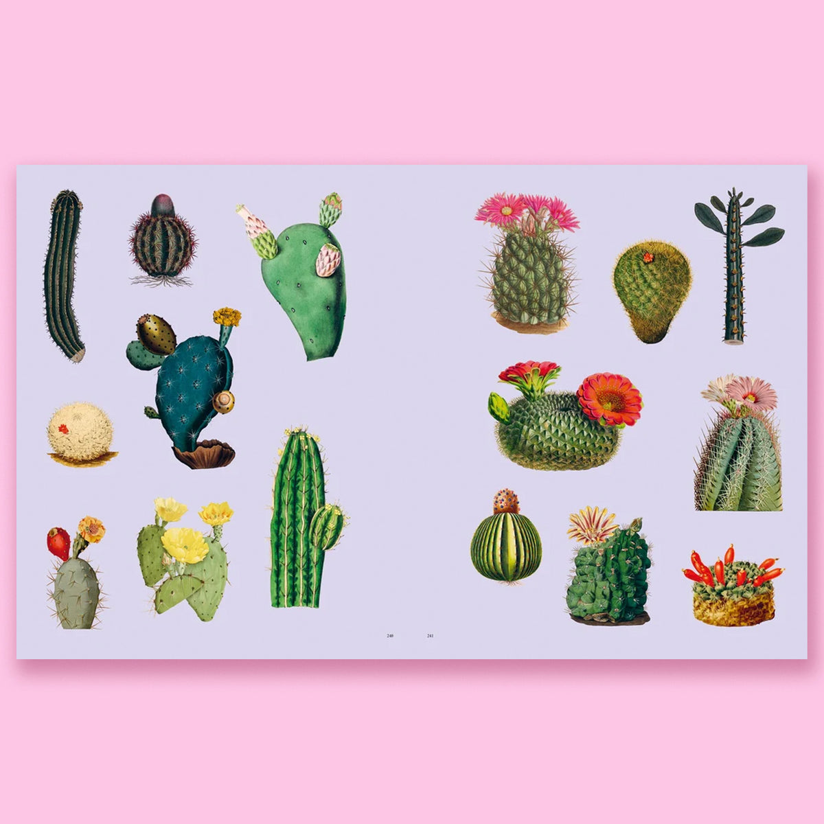 Extraordinary Things Sticker Book by Maria Rivans