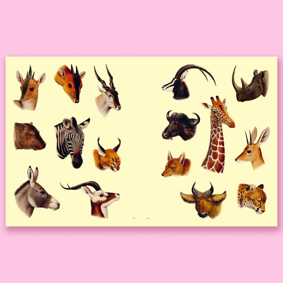 Extraordinary Things Sticker Book by Maria Rivans