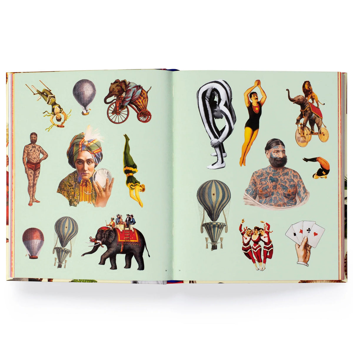 Extraordinary Things Sticker Book by Maria Rivans