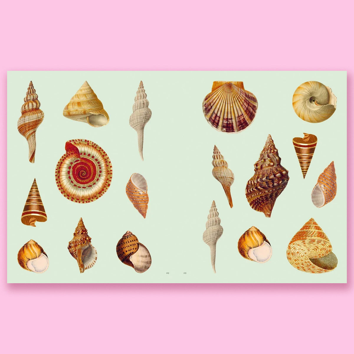 Extraordinary Things Sticker Book by Maria Rivans