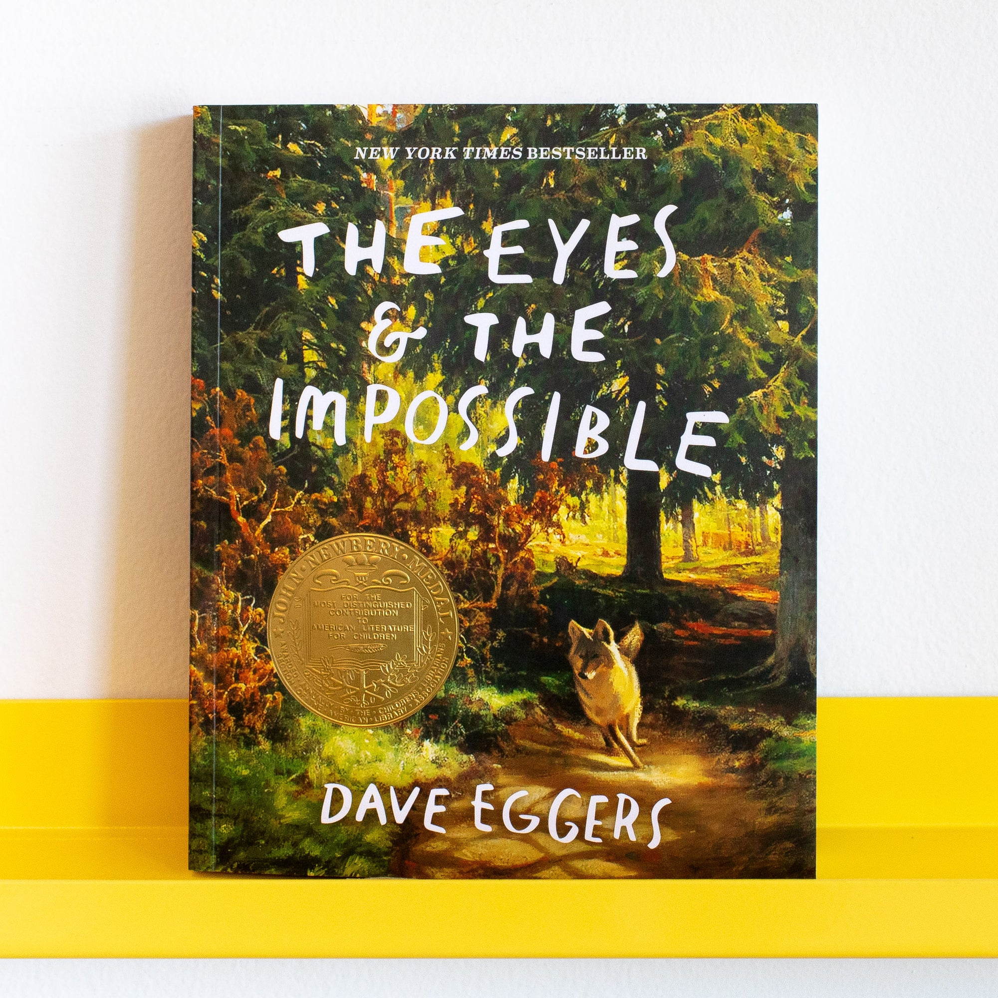 The Eyes and the Impossible by Dave Eggers and Shawn Harris