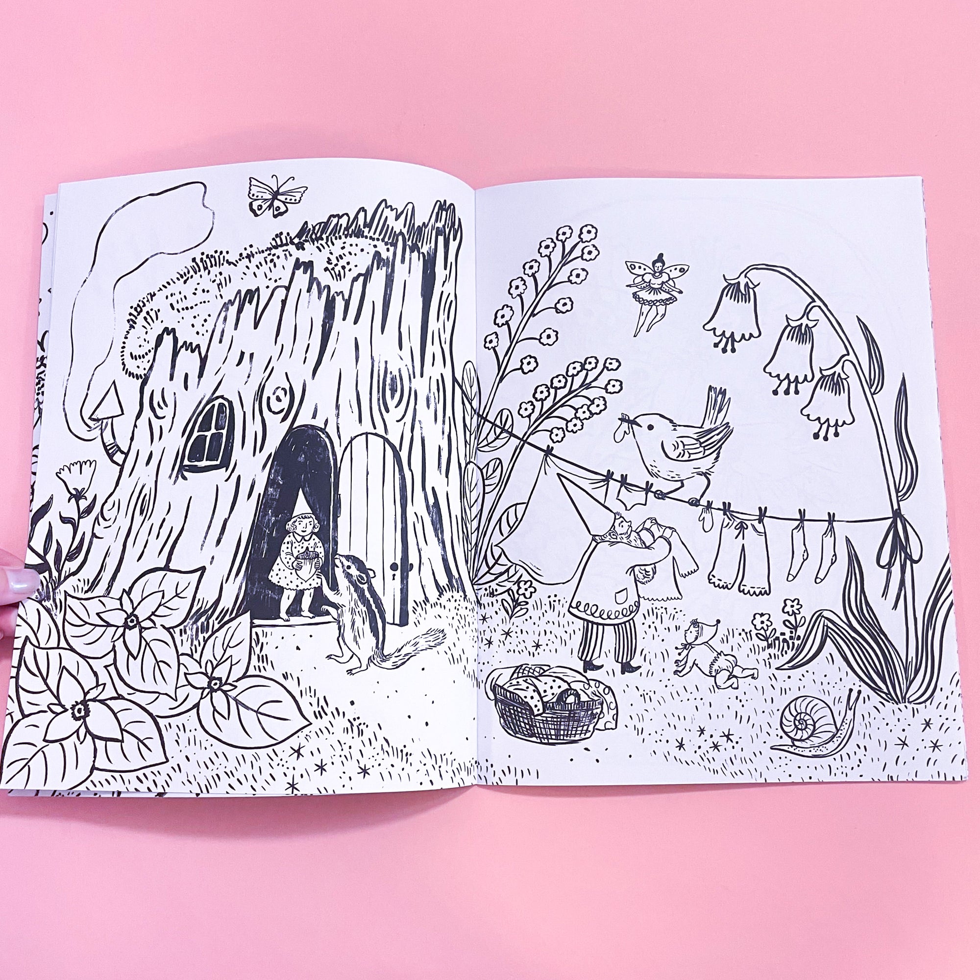 Fairyland Colorng book by Phoebe Wahl with flowers, fairies and animals