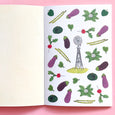Farm Anatomy Sticker Book: A Julia Rothman Creation; More than 750 Stickers by Julia Rothman