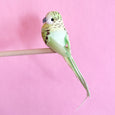 Feather Bird Clips - Mint Green Budgie