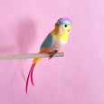 Feather Bird Clips - Teal and Pink Cockatoo