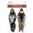 Feathered Mallard Ducks with gator clip