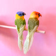 Feathered Parakeets Birds with gator clip