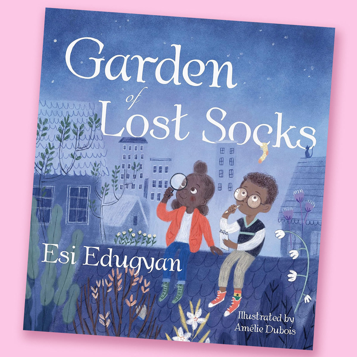 Garden of Lost Socks by Esi Edugyan and Amélie Dubois