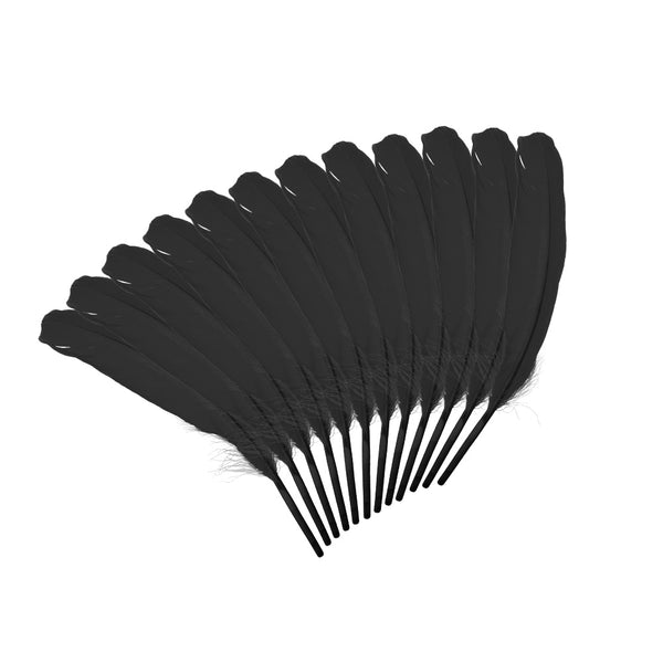 Goose Feathers – 12 pieces in Black