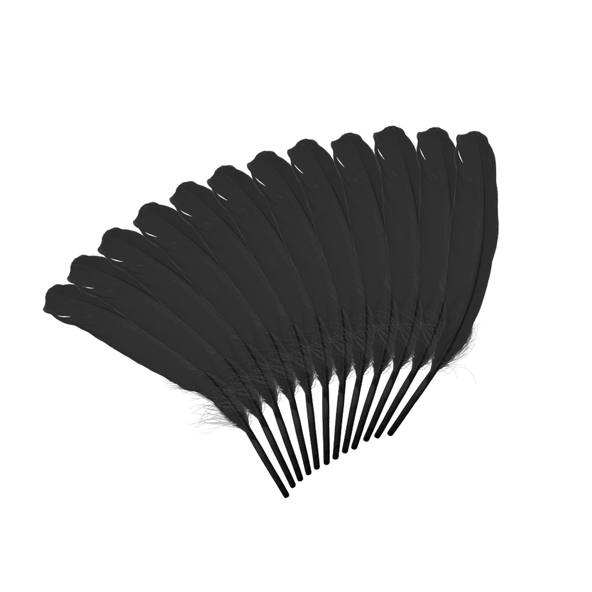 Goose Feathers - Black