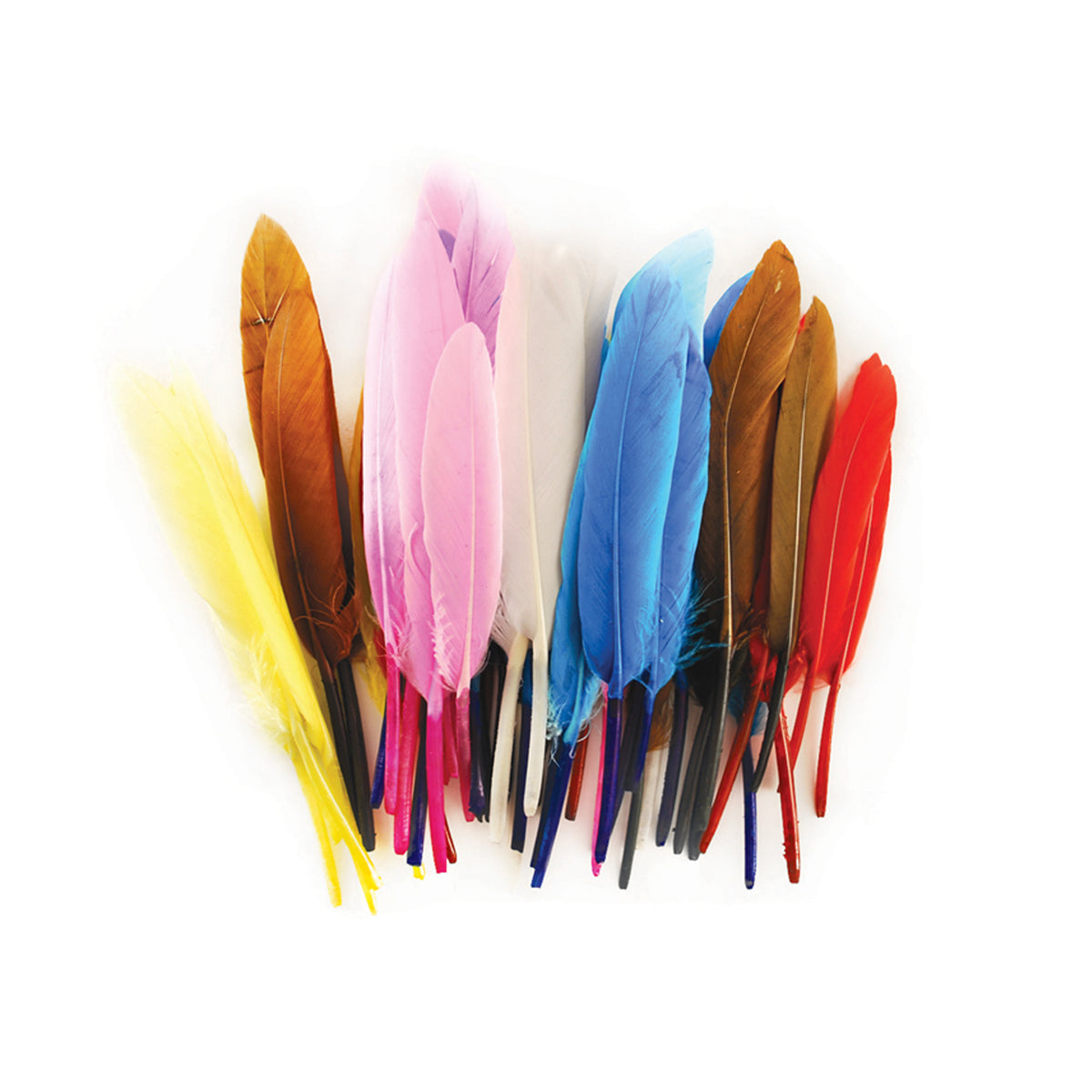 Goose Feathers - Multi Mix