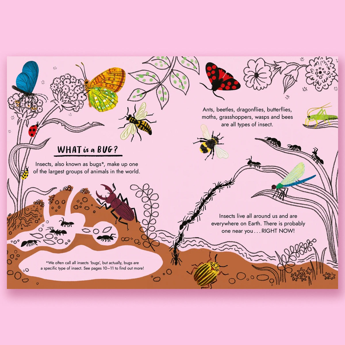 Hello Bugs: A Little Guide to Nature by Nina Chakrabarti