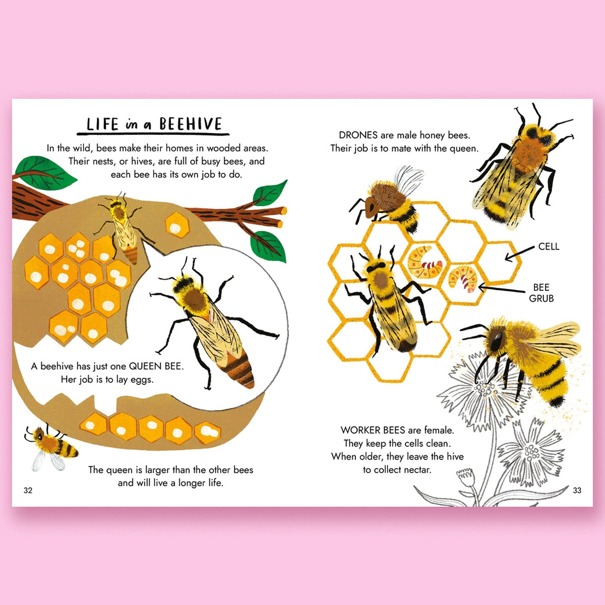 Hello Bugs: A Little Guide to Nature by Nina Chakrabarti